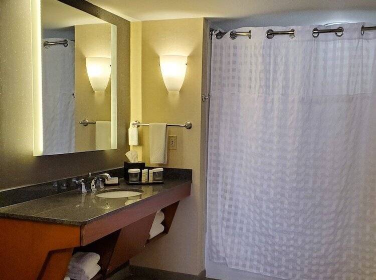 Люкс Адаптированный для Инвалидов, Embassy Suites By Hilton Phoenix Scottsdale