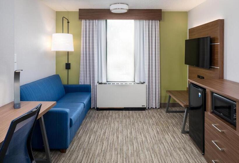 デラックスルーム, Holiday Inn Express Atlanta Airport College Park, An Ihg