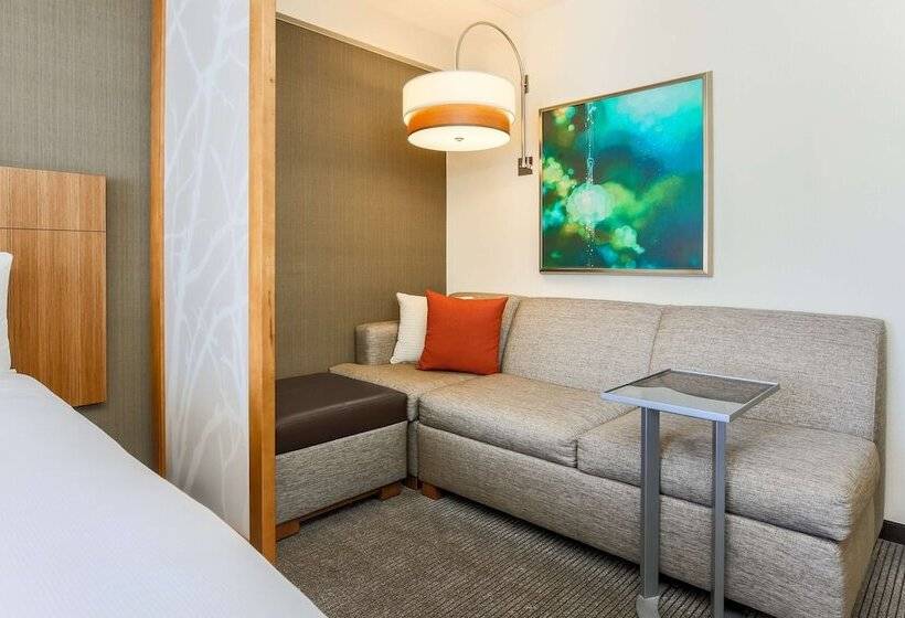 Номер Стандарт 2 Двуспальные Кровати, Hyatt Place San Jose, Downtown