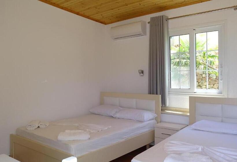 استودیوی لوکس, Villa Lions