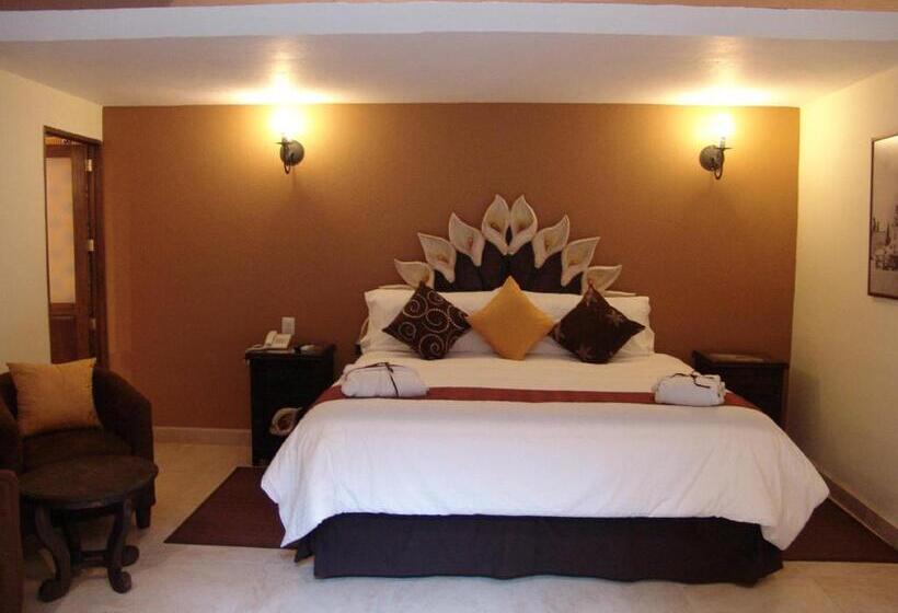 اتاق استاندارد با تخت بزرگ, Casa Del Tio Hotel Boutique