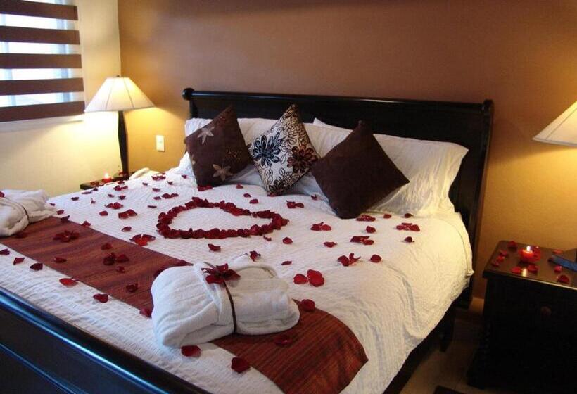 اتاق سوپریور با تخت بزرگ, Casa Del Tio Hotel Boutique