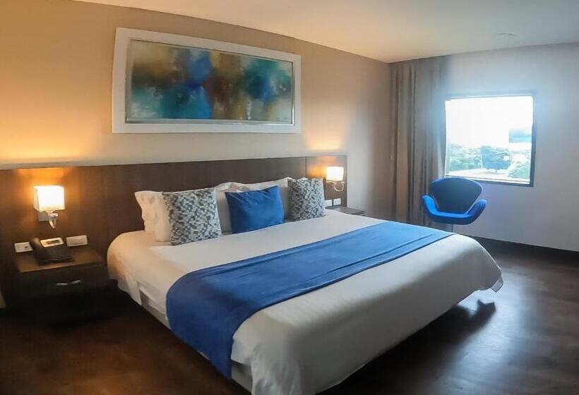 수피리어 룸, Royal Elim International