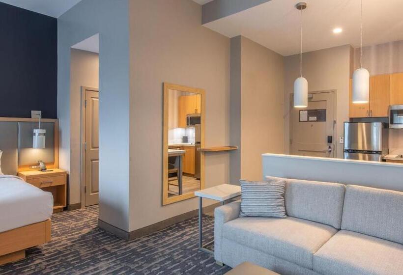 Студия Стандарт Кровать Куин, Residence Inn By Marriott Jekyll Island