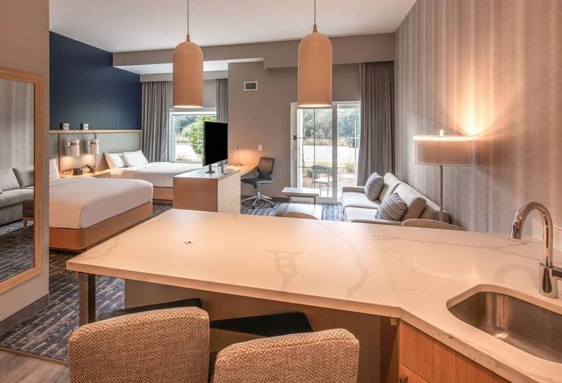 Студио Стандарт с Видом, Residence Inn By Marriott Jekyll Island