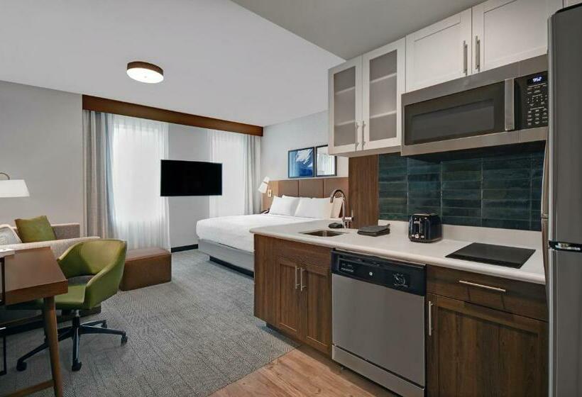 Студио Стандарт Кровать Кинг, Holiday Inn Express Houston   Galleria Area By Ihg