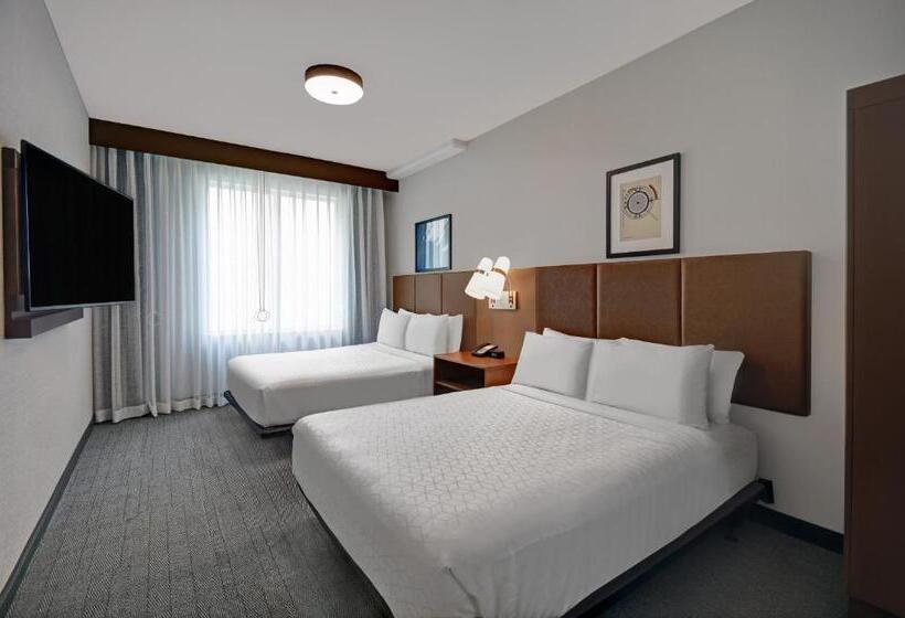 Номер Стандарт, Holiday Inn Express Houston   Galleria Area By Ihg
