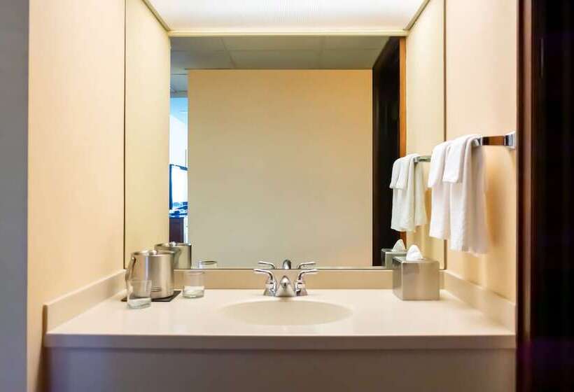 Номер Стандарт 2 Двуспальные Кровати, Doubletree By Hilton San Jose