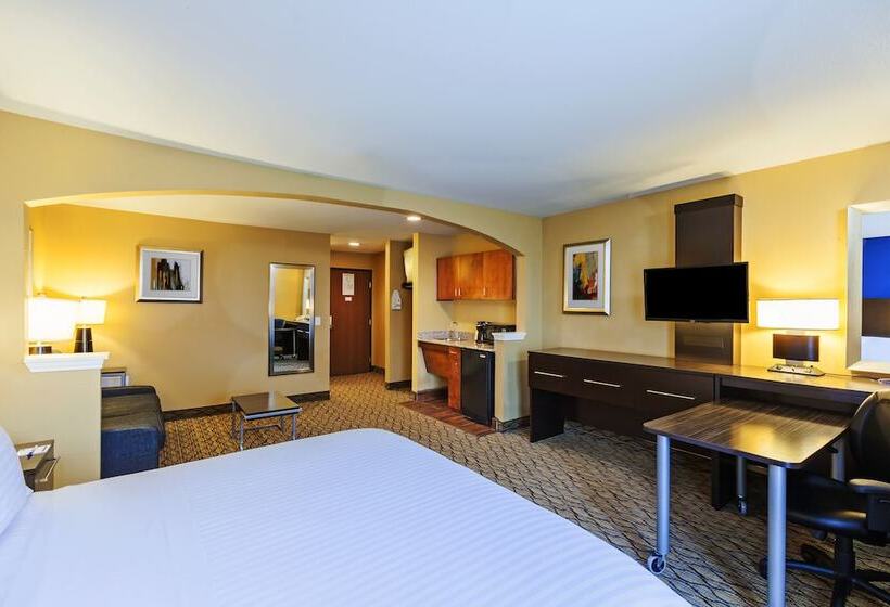 Suite, Holiday Inn Express Hotel & Suites Houston Downtown Convention Center, An Ihg