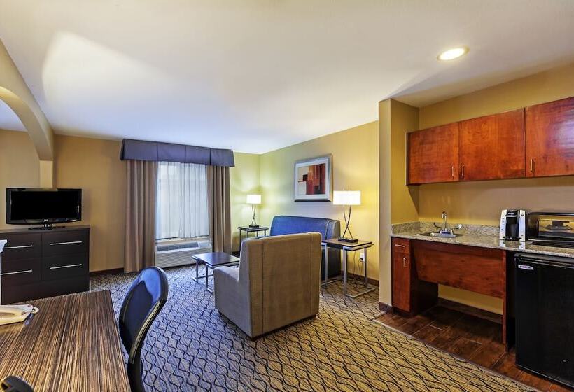 Suite, Holiday Inn Express Hotel & Suites Houston Downtown Convention Center, An Ihg