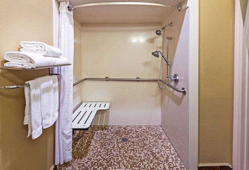 Suite Adaptée aux Personnes à Mobilité Réduite, Holiday Inn Express Hotel & Suites Houston Downtown Convention Center, An Ihg
