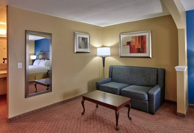 Suite Adaptée aux Personnes à Mobilité Réduite, Holiday Inn Express Hotel & Suites Houston Downtown Convention Center, An Ihg