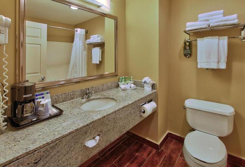 Chambre Standard, Holiday Inn Express Hotel & Suites Houston Downtown Convention Center, An Ihg