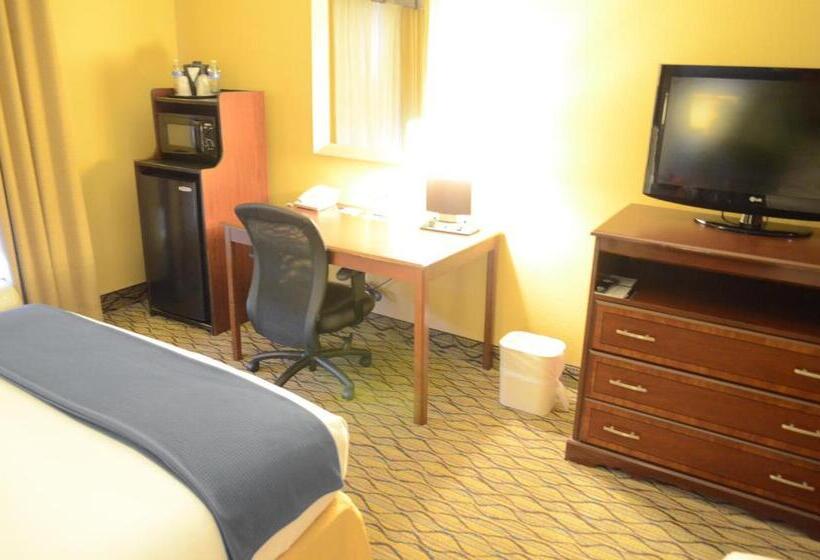 Chambre Standard, Holiday Inn Express Hotel & Suites Houston Downtown Convention Center, An Ihg