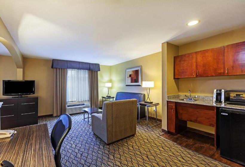 Junior Suite, Holiday Inn Express Hotel & Suites Houston Downtown Convention Center, An Ihg