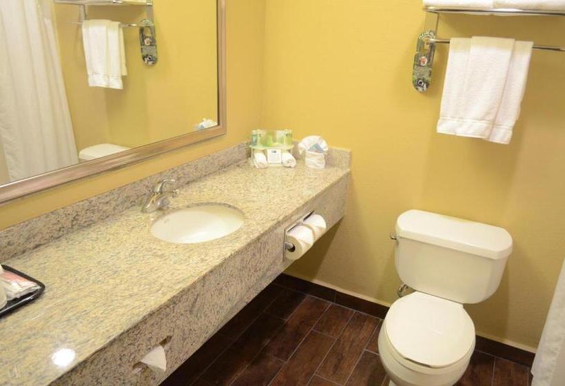 Chambre Standard Lit King Size Adaptée aux Personnes à Mobilité Réduite, Holiday Inn Express Hotel & Suites Houston Downtown Convention Center, An Ihg