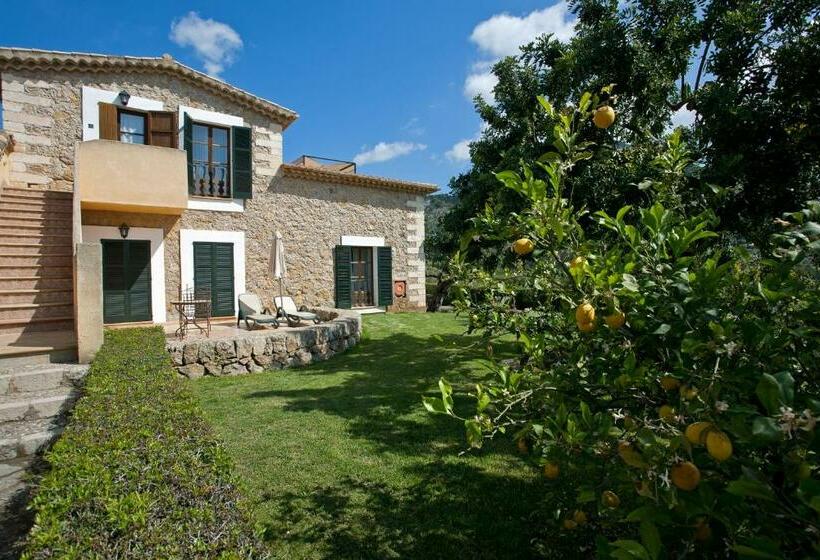 سوییت جونیور, Finca Binibona Parc Natural