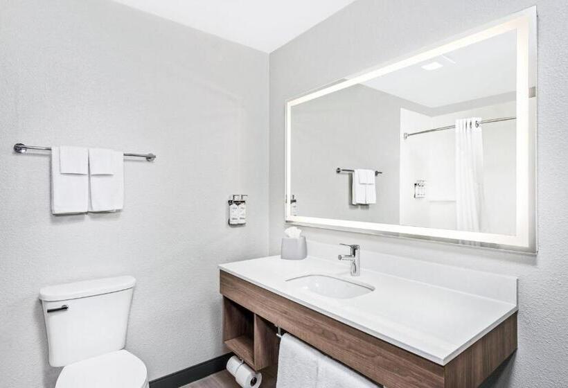 Büyük Çift Kişilik Yataklı Standart Oda, Holiday Inn Express Hotel & Suites Chicago Algonquin, An Ihg