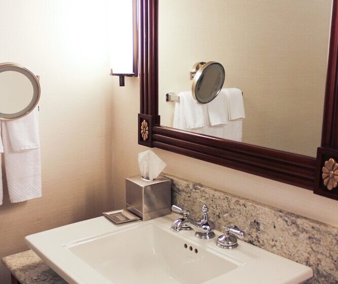 Люкс Адаптированный для Инвалидов, Hilton New Orleans Riverside