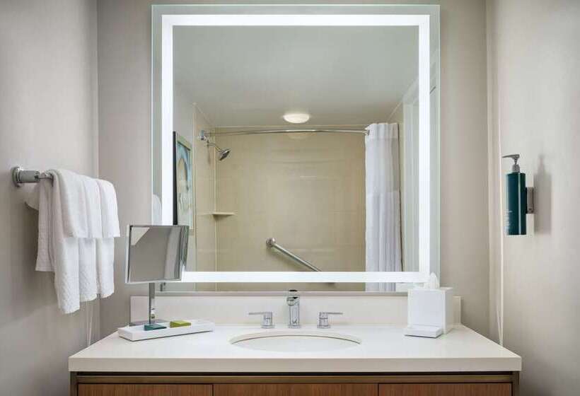 Номер Стандарт, Hilton New Orleans Riverside