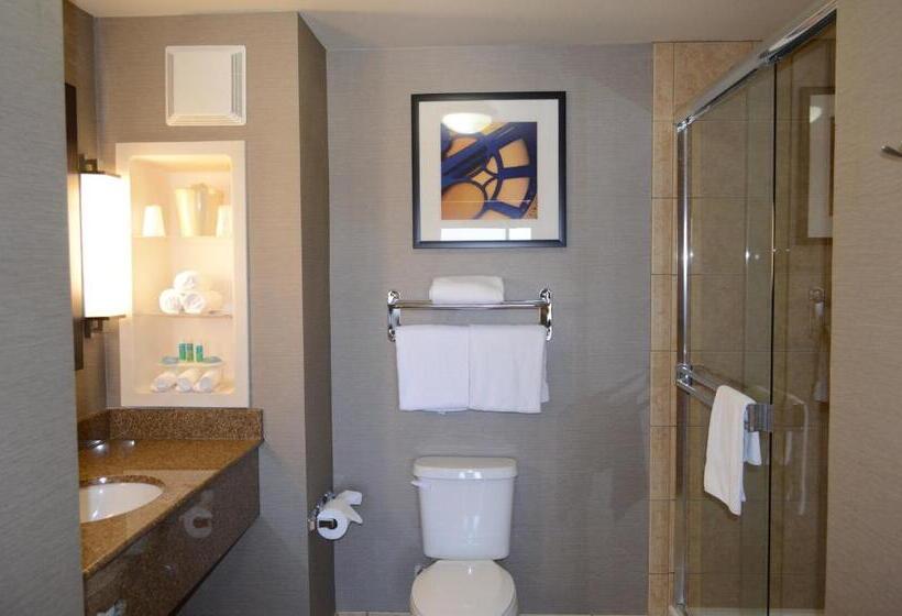 带大床的套房, Holiday Inn Express Hotel & Suites Barstow Outlet Center By Ihg