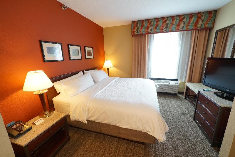 스탠다드 룸 킹사이즈 침대, Holiday Inn Express Hotel & Suites Tampa Oldsmar, An Ihg