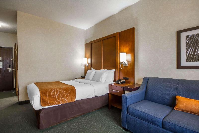 장애인을 위한 킹사이즈 침대 스탠다드 룸, Holiday Inn Express Hotel & Suites Tampa Oldsmar, An Ihg