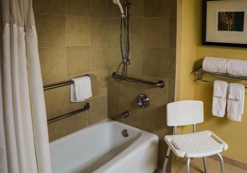 اتاق استاندارد با تخت بزرگ, The Aquarius Casino Resort, Bw Premier Collection