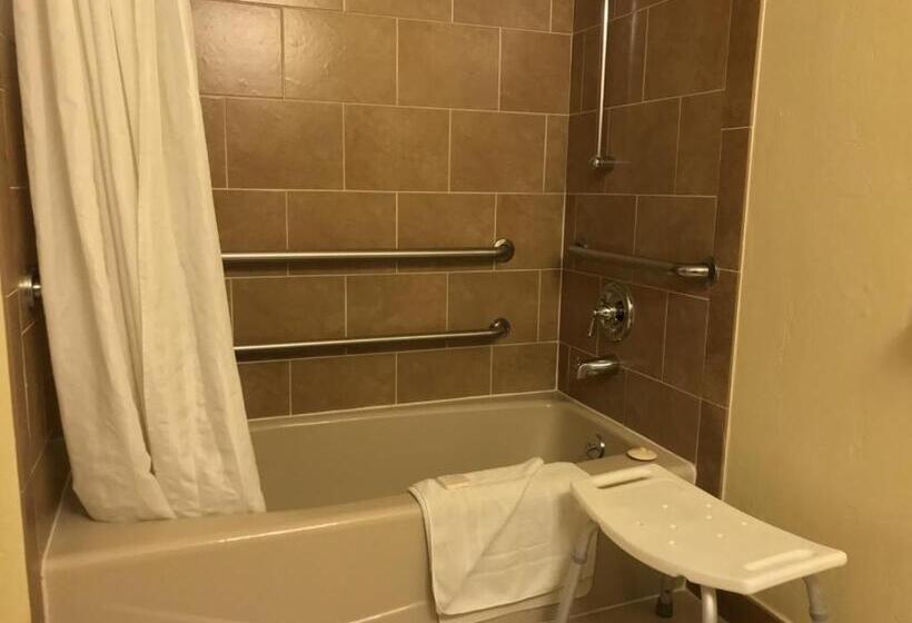 장애인을 위한 킹사이즈 침대 스탠다드 룸, The Morgan Hotel San Simeon