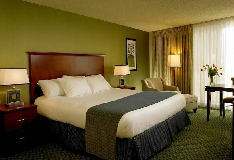 اتاق لوکس, The Aquarius Casino Resort, Bw Premier Collection