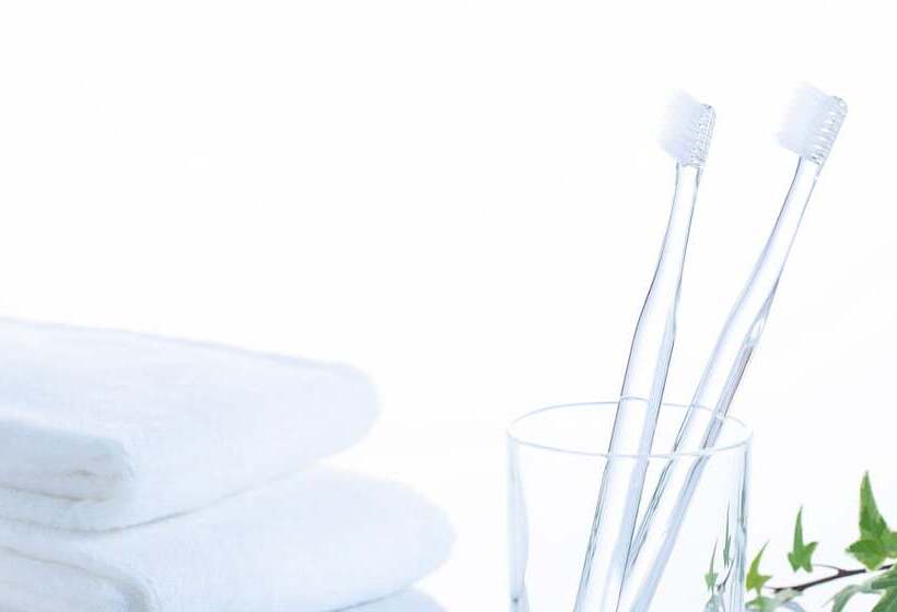 스탠다드 룸, Comfort Hotel Himeji