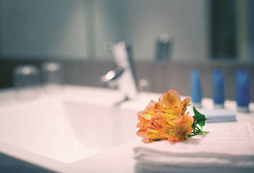اتاق اجرایی با مشاهده, Mövenpick Hotel Amsterdam City Centre