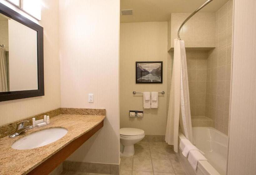 スタンダードシティビュールーム, Courtyard By Marriott St. John S Newfoundland