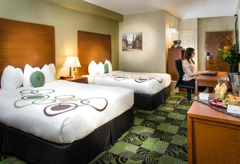 スタンダードルーム, Deerfoot Inn And Casino