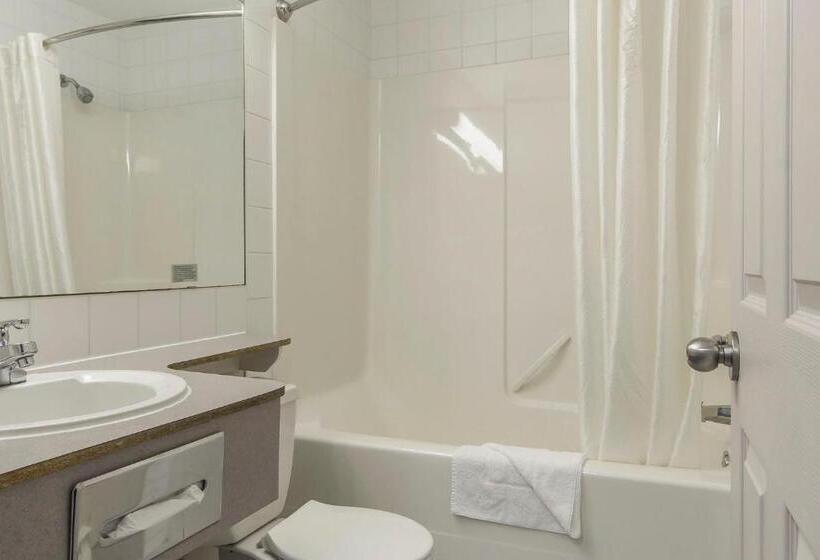 带2个双人床的标准工作室, Econo Lodge Inn & Suites