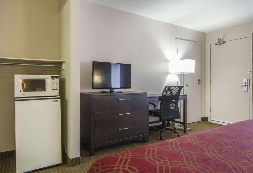 带大床的标准间, Econo Lodge Inn & Suites
