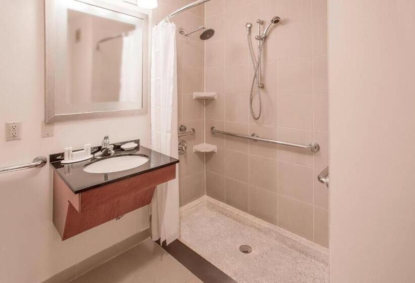 استودیو استاندارد با تخت کینگ, Residence Inn By Marriott New York Manhattan/times Square