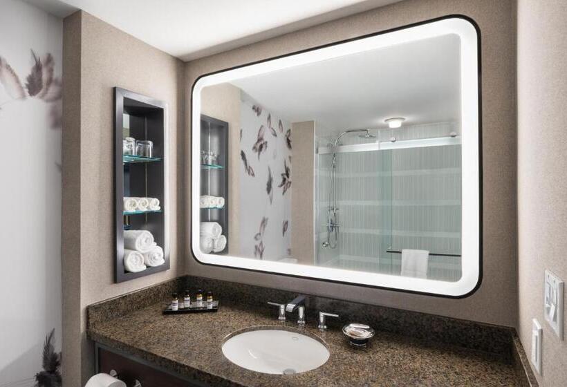 Стандартный Номер Кровать Кинг, Hyatt Regency Coralville