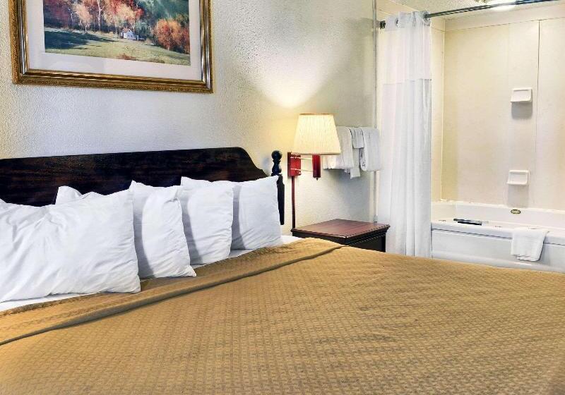 스탠다드 룸 킹사이즈 침대, Quality Inn Thornburg