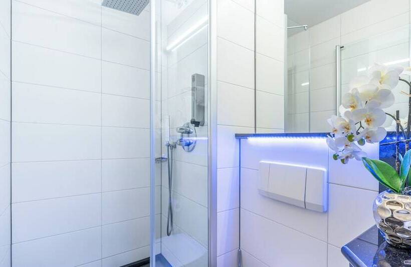 اتاق راحتی یک تخته, Plaza Inn Braunschweig City Süd