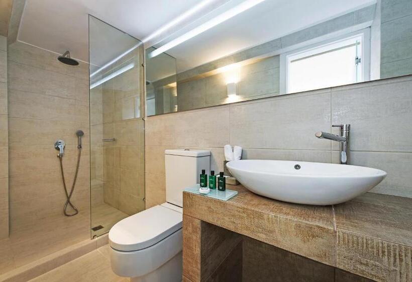 Deluxe люкс с видом, Athina Luxury Suites