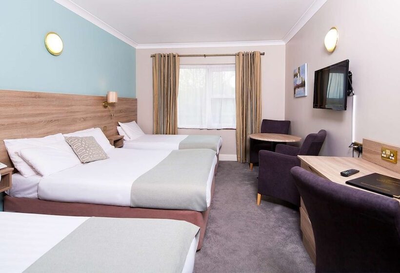 اتاق استاندارد سه نفره, Treacys West County Conference And Leisure Centre