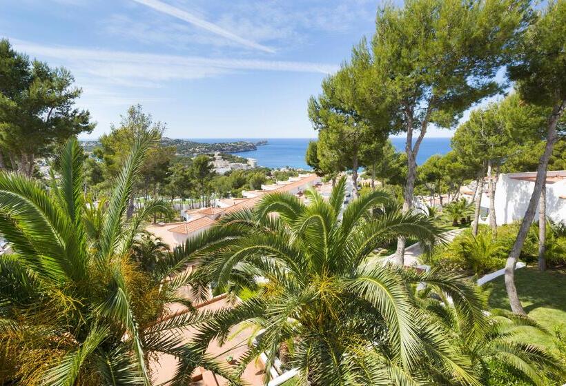 اتاق سوپریور با چشم‌انداز دریا, Hilton Mallorca Galatzo