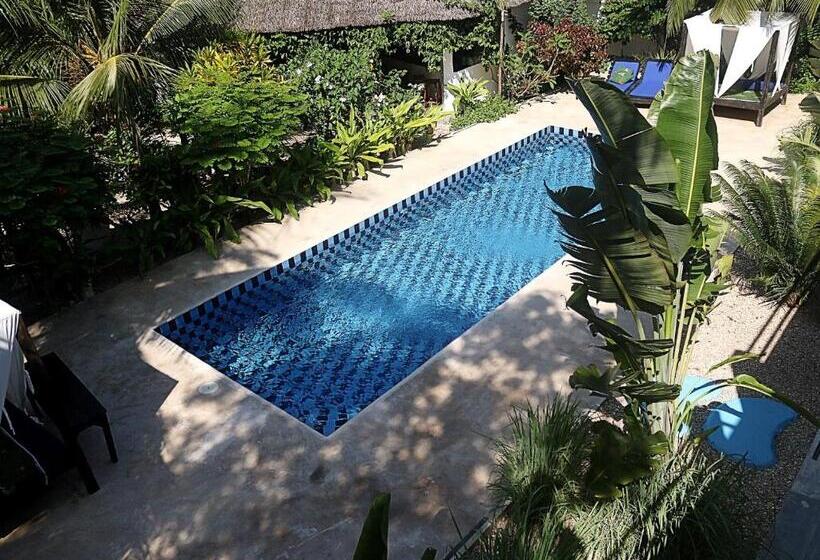 스탠다드 룸 풀장 전망, Aurora Boutique Hotel Jambiani