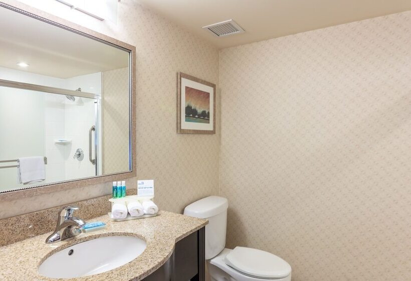 اتاق استاندارد, Holiday Inn Express & Suites Riverport Richmond, An Ihg