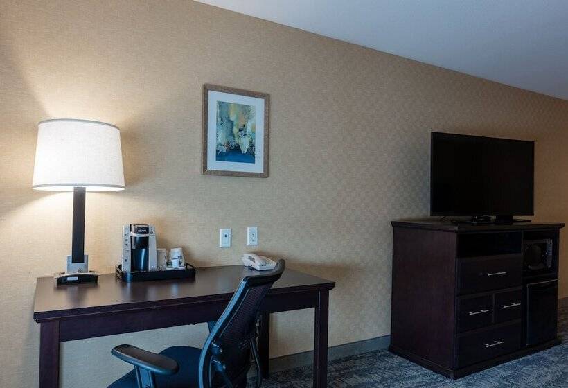 اتاق استاندارد, Holiday Inn Express & Suites Riverport Richmond, An Ihg