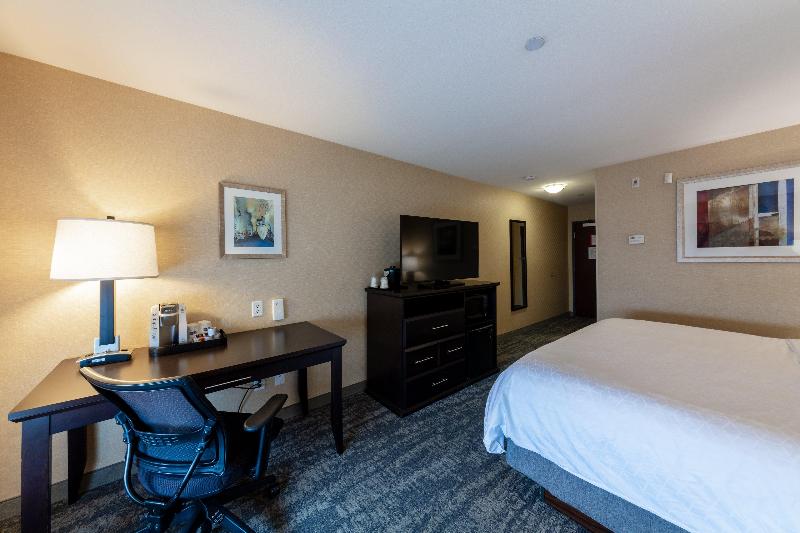 اتاق استاندارد با تخت بزرگ, Holiday Inn Express & Suites Riverport Richmond, An Ihg