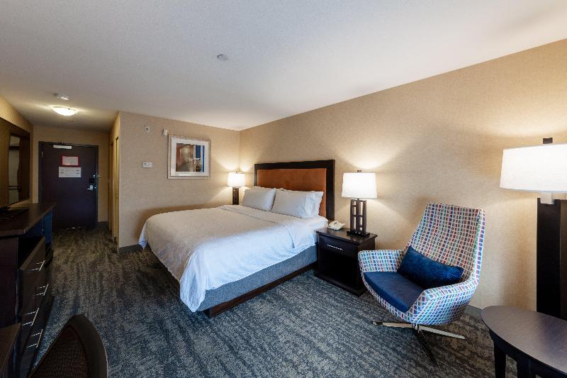 اتاق استاندارد با تخت بزرگ, Holiday Inn Express & Suites Riverport Richmond, An Ihg