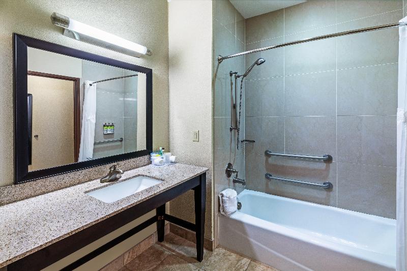 اتاق استاندارد با تخت بزرگ, Holiday Inn Express & Suites Riverport Richmond, An Ihg