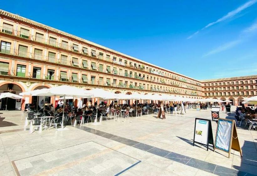 اتاق عادی, Hostel Plaza Mayor Corredera
